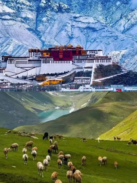 🌟 Lhasa 3D2N Ultimate Guide for First-Timers!