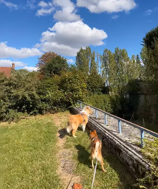Recommended Dog Walking Spot for South 92 Weekend / ❣️ Meudon Observatory Observatory Terrace 