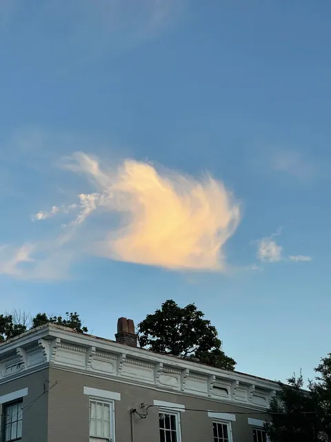 ✨ A Perfect Day in Cincinnati｜Photo Diary 📸