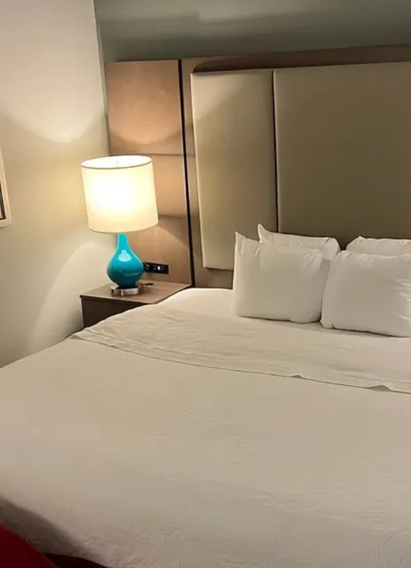 🏨 Hampton Inn & Suites St. Paul Downtown 