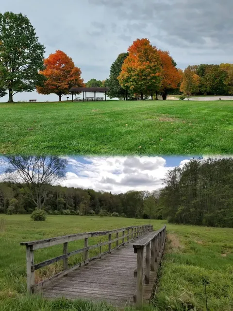 🌳 Escape the City at Moraine State Park! 🌳
