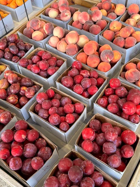 🇳🇿 Cromwell Fruit Town 🍒 | Like a Mouse in a Rice Barrel!