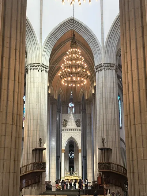 Samba Passion: 72 Hours of Rushing Around in São Paulo, Brazil!🔥