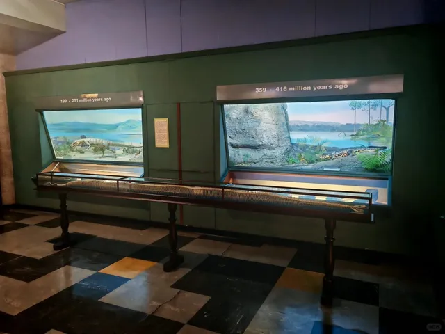 Port Elizabeth Museum Guide 🏛️🔍