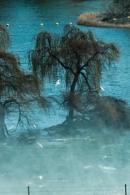 Albury: New South Wales' Hidden Italian Gem 🇮🇹✨