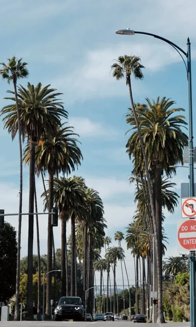 🇺🇸 A Glimpse of LA｜Beverly Hills & DTLA