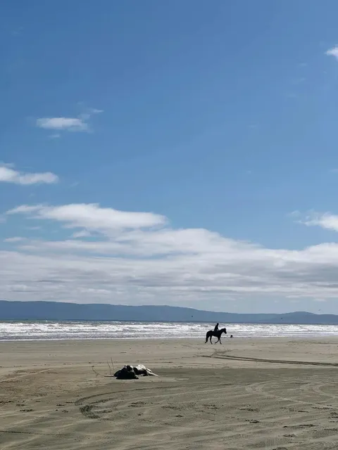 🌏 New Zealand's Quietest "Edge of the World"