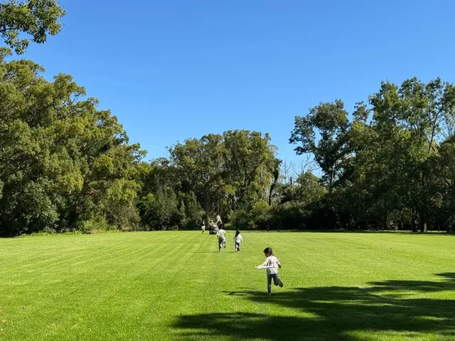 Vergelegen wine estate