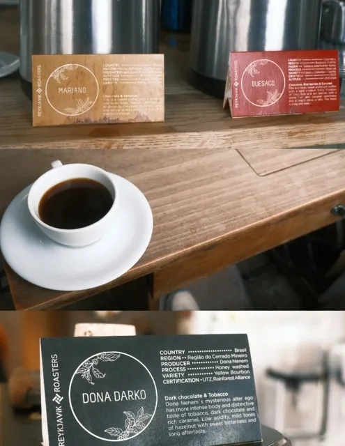 🇮🇸 Iceland: Coffee & Whales at the Edge of the World