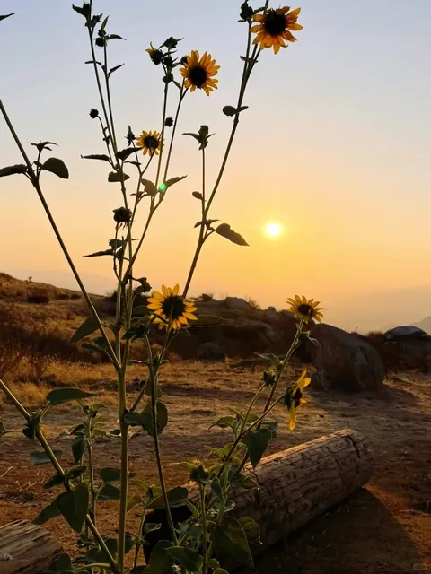 Riverside | A Breathtaking Hilltop Perfect for Sunset Views