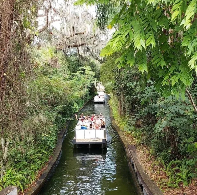 OMG Orlando is WAY too much fun! 🎢✨