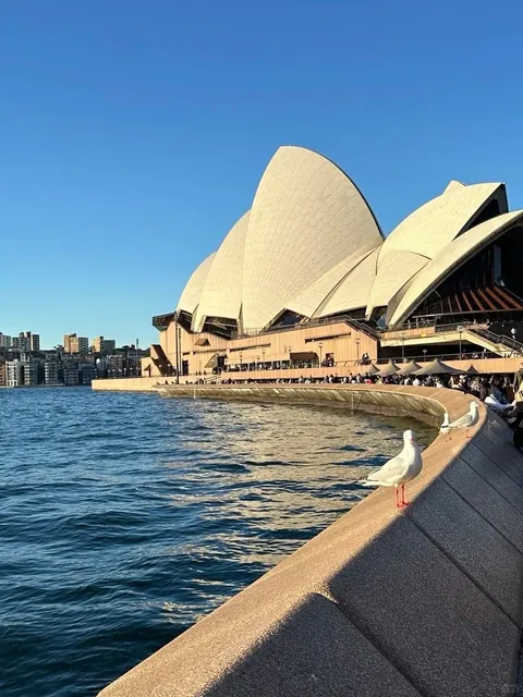 🇦🇺 Australia Travel Guide | Just Returned & Here to Help! 😭