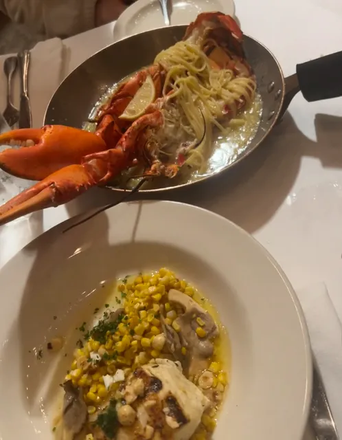 Portland & Acadia Guide: Recommendations & Places to Avoid 🌍⚠️