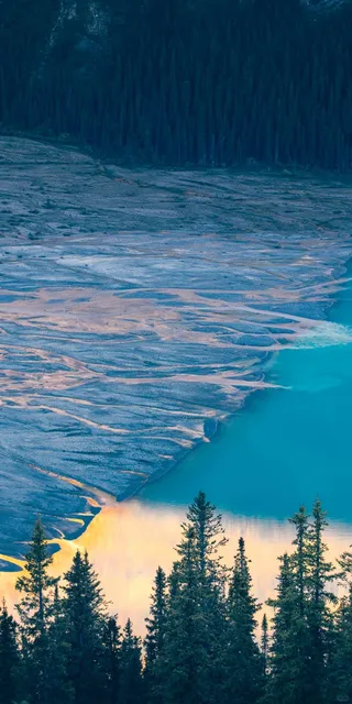 🌲 Peyto Lake: Banff’s Hidden Gem Shaped Like a Fox 