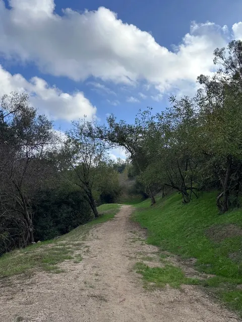 🚗✨ Epic Off-Road Trail in Los Angeles ✨🏞️  