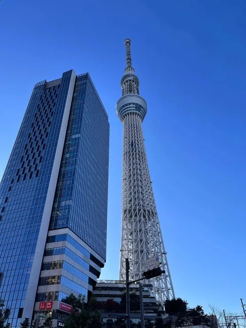 Japan Solo Travel | 8 Days and 7 Nights for RM6.5K(1)