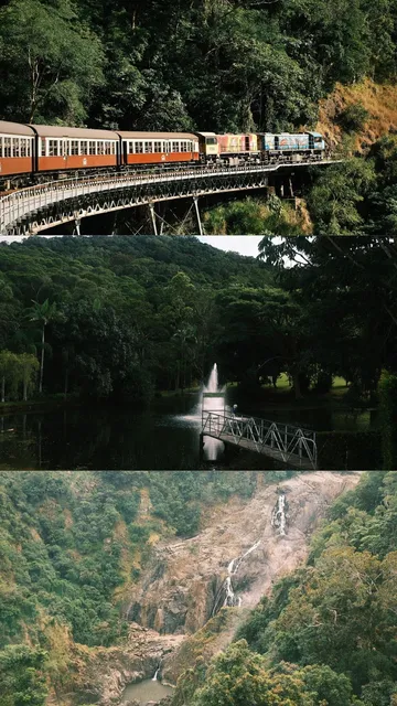 Cairns Travel Diary 🐚🪸🫧