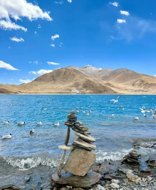 Be Brave, Tibet Isn't Far Away! ✈️🏔️