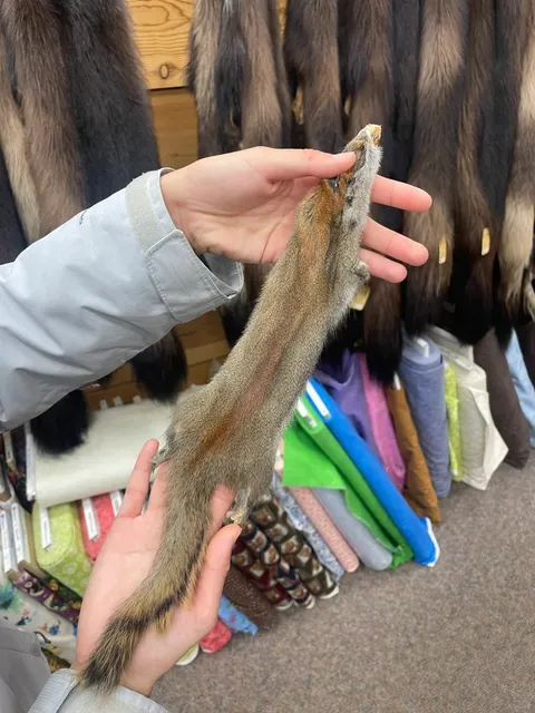 Fairbanks’ Coolest Under-the-Radar Gift Stop 