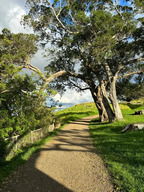 Auckland - Hayao Miyazaki’s Summer 🎨
