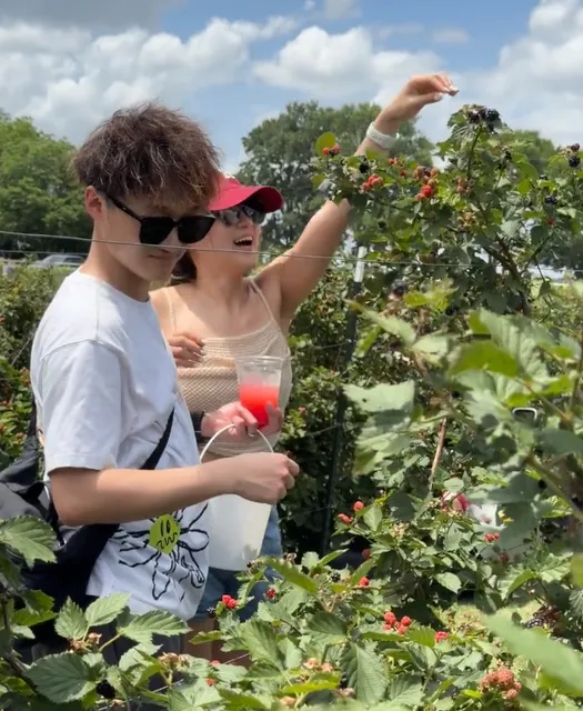 Dallas Surroundings | McKinney's Blackberry Picking Farm 🐥