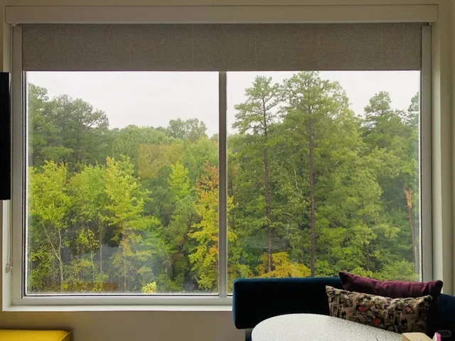 🌟 Hidden Gem in the USA – Little Rock, Arkansas .🏞️