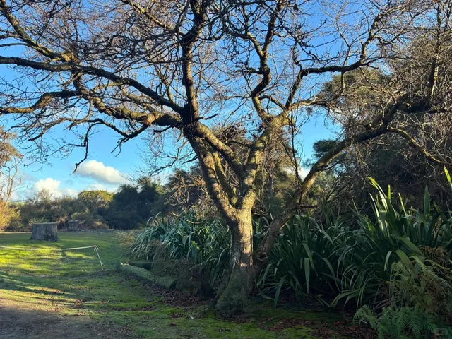 🇳🇿 Rotorua Chill Day Trip Guide