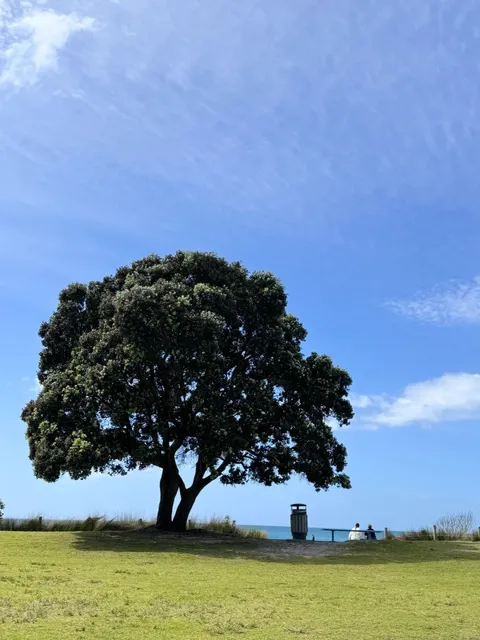 🇳🇿 Don't Visit NZ Without Seeing This Place!