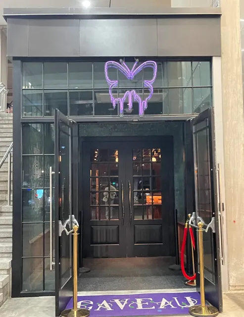 Boston visit | 🦋Caveau Dreaming of Wonderland Rabbit hole