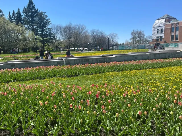 🌿✨ Montreal Botanical Garden: Spring’s Late Bloomer 🌸