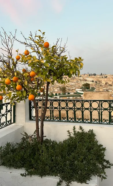 Fez | How Riad Le Calife Made Me Fall in Love With the Medina​​  ​​