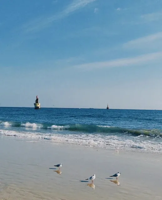  Busan Is Way More Fun Than Seoul! 😍