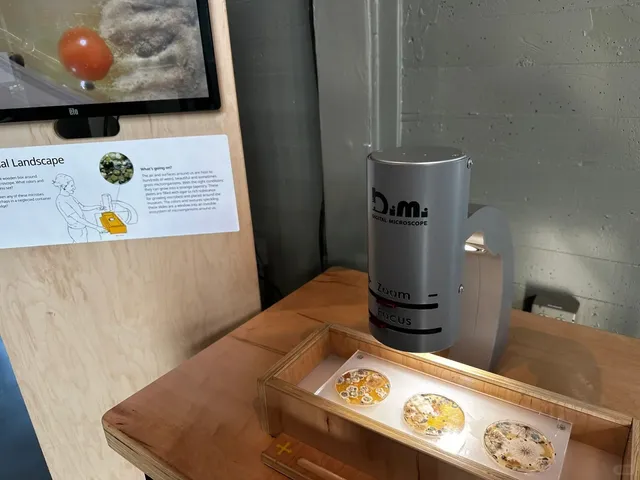 Bay Area Kid-Friendly Fun: Exploratorium in San Francisco 🚀🔬