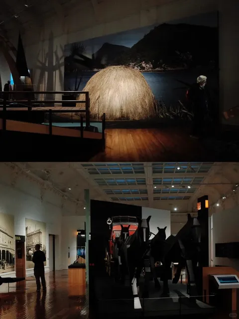 Dunedin | A New Zealand Seaside Gem Worth Staying For 🌊✨