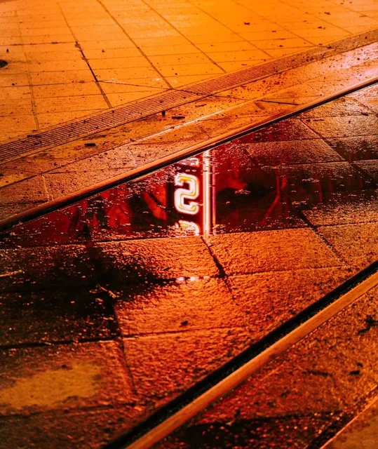 San Jose Improv After the Rain: A Photographer’s Guide