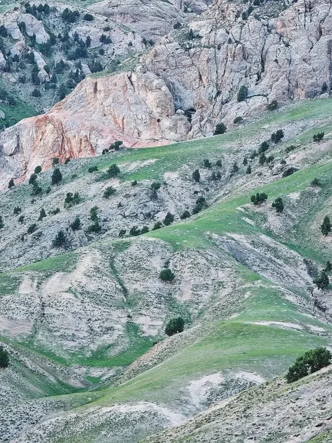 Breathtaking Scenery of Cypress Mountain 🏔️✨