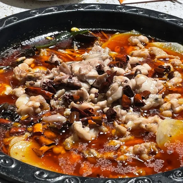 Irvine Food — TOP Picks Collection!!! 🍽️