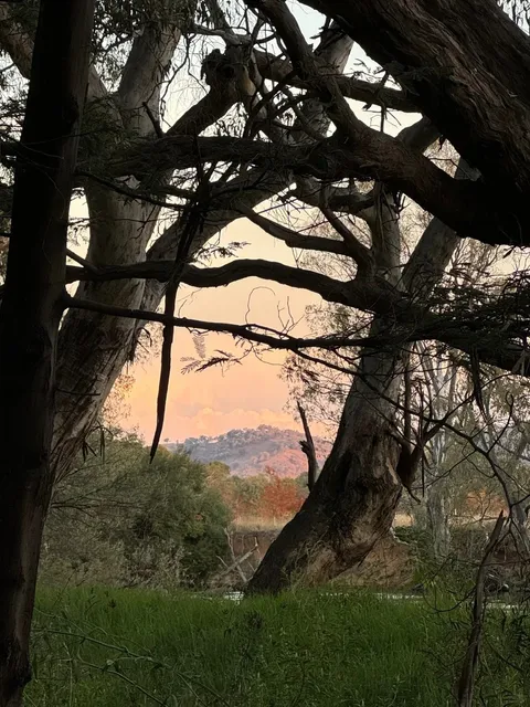 Albury🌳｜1.5-Day Mini Escape to a Quaint Border Town