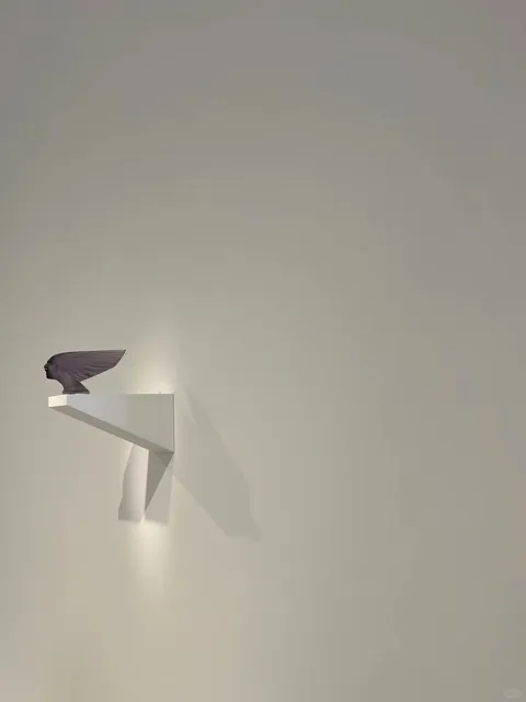 Dallas 3-Day 2-Night Guide