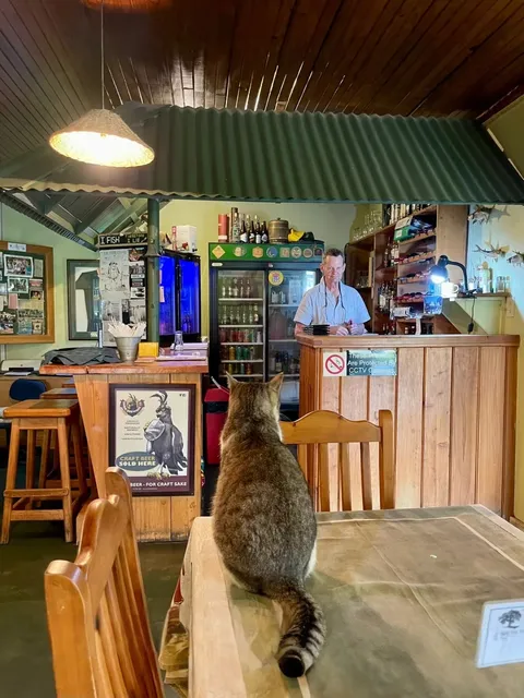 🇿🇦 Wandering Around | Guide to Sabie Town + Kruger Route