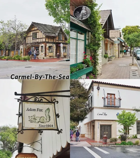 Travel Diary 🧺 Bay Area Escape