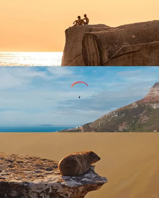 A Journey to South Africa