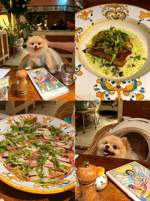 London Food | Super High-Rated 🌟 Dog-Friendly Restaurant 🐶