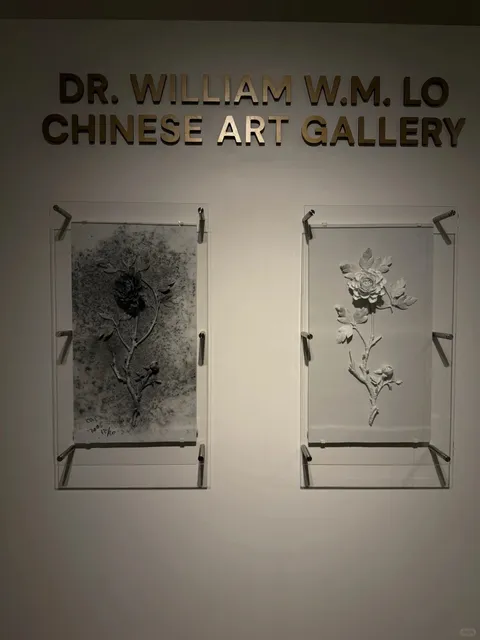 Journey Beyond the Medium” at USC Pacific Asia Museum 🌌🎇