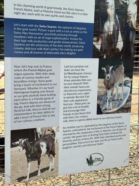 SGD is must-visit on Maui