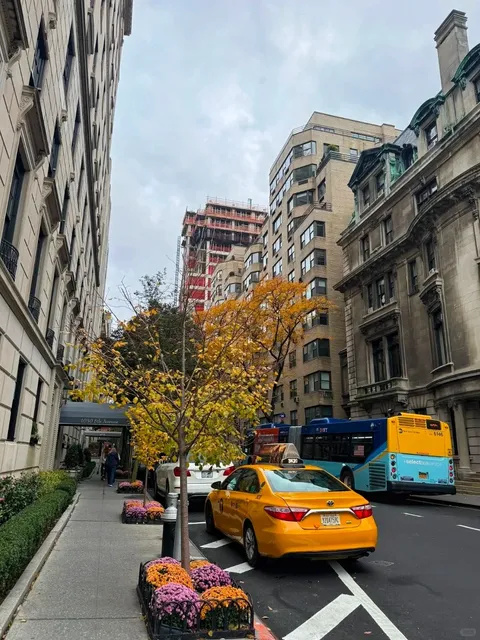 NYC Travel Guide: Must-Know Tips & 4-Day Itinerary 🗽🚶‍♀️