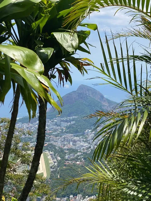 🇧🇷 Rio Secrets? Not Anymore!