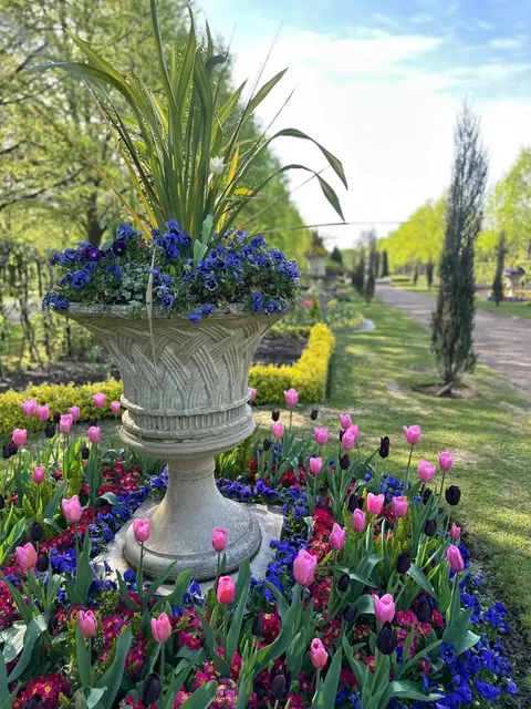 When the Sun Comes Out, London Falls in Love ❤️