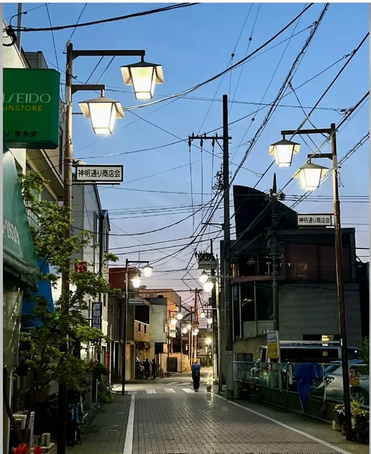 🇯🇵Tokyo, Japan Travel Plog Day7⃣️