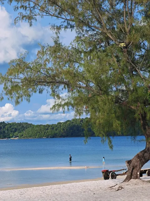 🏝️🐠🐚🦀🥥 Beat the Crowds! ✌️